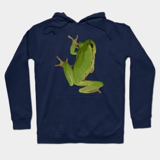 Cute Climbing Green Tree Frog Vector Art Hoodie